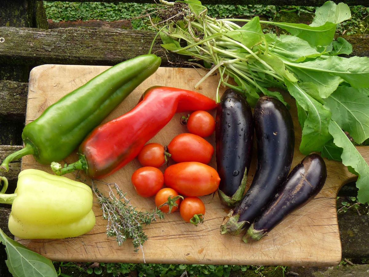 huerta